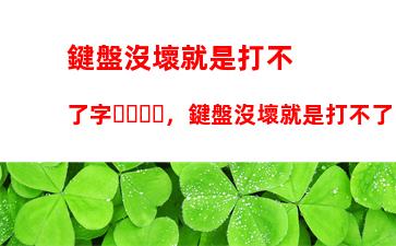 鍵盤沒壞就是打不了字，鍵盤沒壞就是打不了